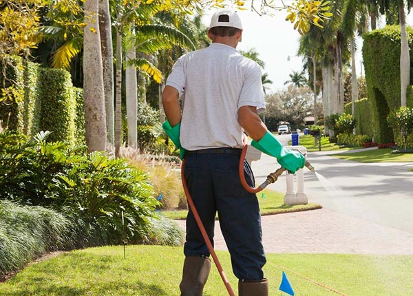 About Leroy TX Pest Control Pros